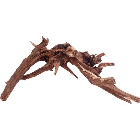 XL Driftwood Flußwurzel Nr.4949 Holz Deko Aquascaping
