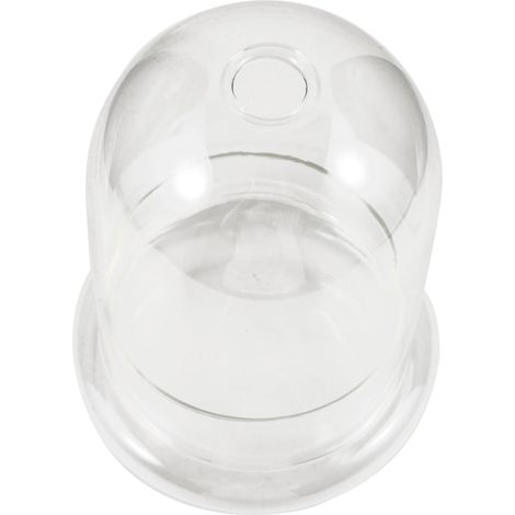 aus Glas mit Klarer Displayglocke Künstlerische