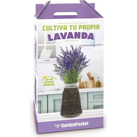 Cultivez votre propre Lavande Aromatique (1/5)