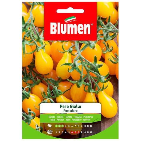 SEMI POMODORO PERA GIALLO (1/2)