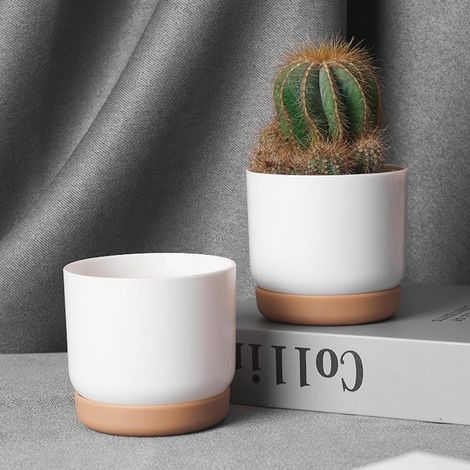 Jardinières à arrosage automatique avec soucoupes, idéales pour l'intérieur, les bureaux (1/5)