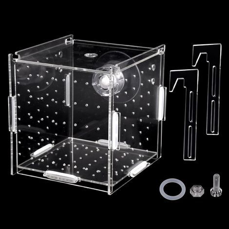 Zuchtbox, transparentes Acrylglas, Belüftungslöcher, Saugnäpfe, für Garnelen und Guppys (1/5)