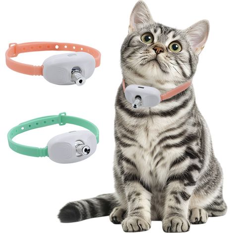 Collare laser per animali domestici, a mani libere, LED intelligente, giocattolo laser per gatti, puntatore laser, giocattoli e accessori per cani e gatti. (1/2)