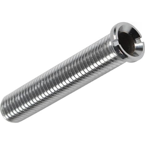 Vis pour Panier d'Evier, Tirefond Cuisine, Verrouillage Etendu pour Bassine à Vaisselle en Inox, Evacuations Fixes M12 X 70mm (Argent) (1/5)