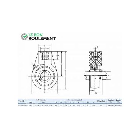Palier plastique UCHPL206-20-VERT-INOX