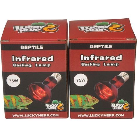 Pack of 2 Infrared Heat Bulbs, E27, 75W, for Reptiles and Terrariums (1/5)