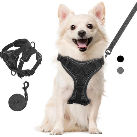 Harnais pour chat et petit chien réglable, gilet anti-fugue avec laisse incluse, confortable et respirant pour promenade, noir (1/5)