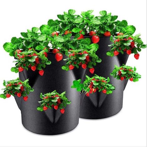 Set mit 2 Filz-Pflanzbeuteln für Erdbeeren 45 x 35 cm Pflanzbeutel für Erdbeeren und kleines Gemüse Beutel für Gärten Balkone Pflanzen Beutel für blau (1/5)