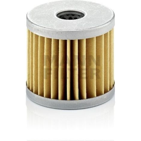 Filtre à air Mann Filter C66/1