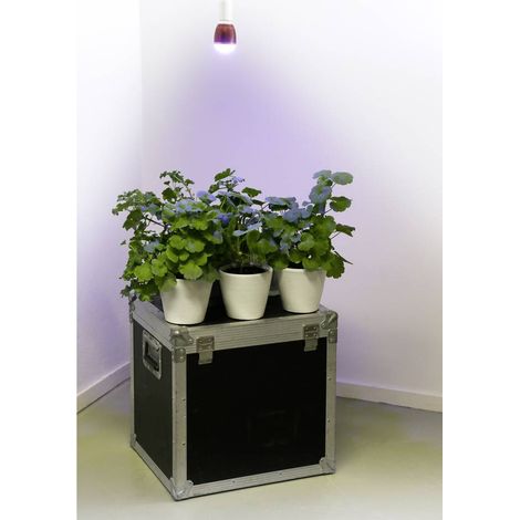 Venso Lampadina per piante 113 mm 230 V E27 7 W Bianco neutro Forma di bulbo 1 pz. (1/2)