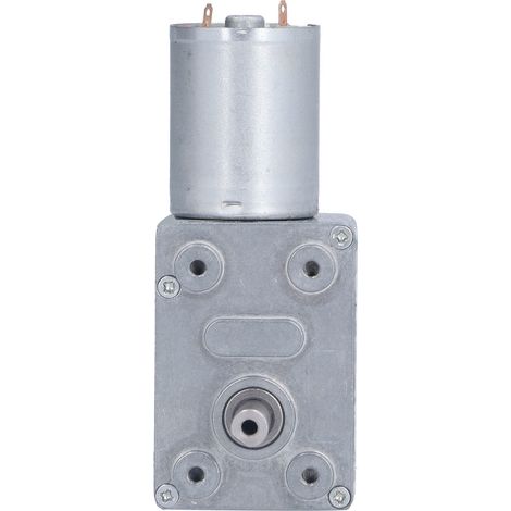 4632370 Gleichstrom-Schneckenmotor mit selbsthemmendem Untersetzungsgetriebe, Turbinenwelle, Schneckengetriebemotor, 100 U/min, 12 V Gleichstrom (1/5)