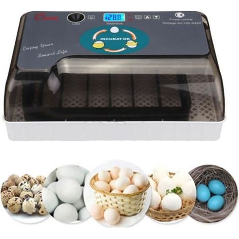 Incubateur Oeufs 12 Oeufs - Mini couveuse a Oeuf Automatique pour volaille, caille, oie Canard, Pigeon, Reptile - Température consta (1/4)