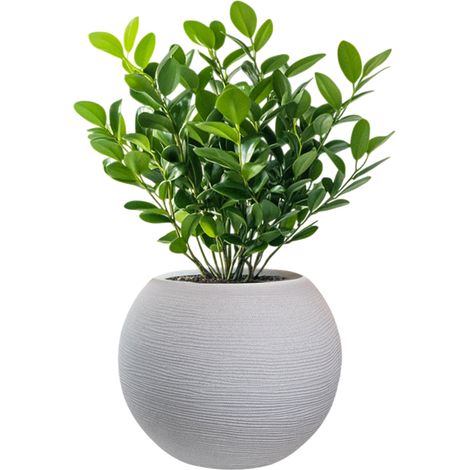 Vase Sphérique Rond En Résine Beige Botticelli Pour Plantes D'Intérieur Et D'Extérieur, 40X33 Cm (1/5)