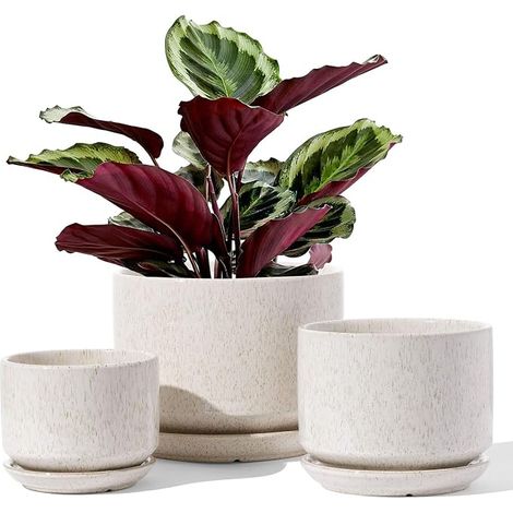 Ceramic Flower Pot, 11+13+17cm, Pot with Drainage Hole and Saucer, Indoor Pot with Mesh Mat, Beige (1/5)