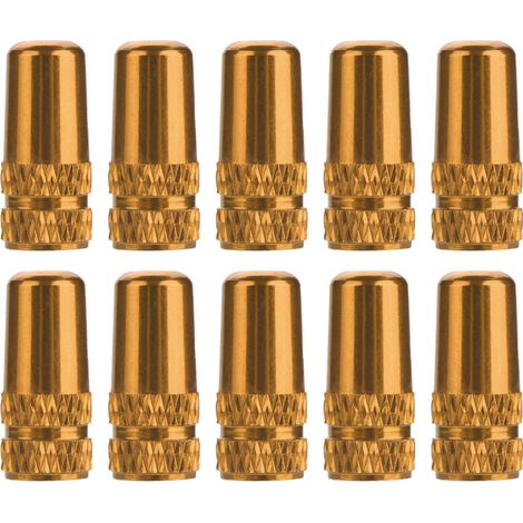 10 pièces bouchons de valve en alliage d'aluminium pour vélo, couleur or, protection de tige (1/5)