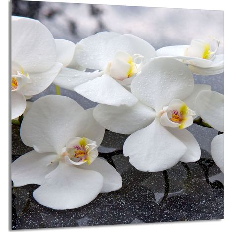 PANNELLO IN VETRO PER CUCINA 60x65 Orchidea (1/5)
