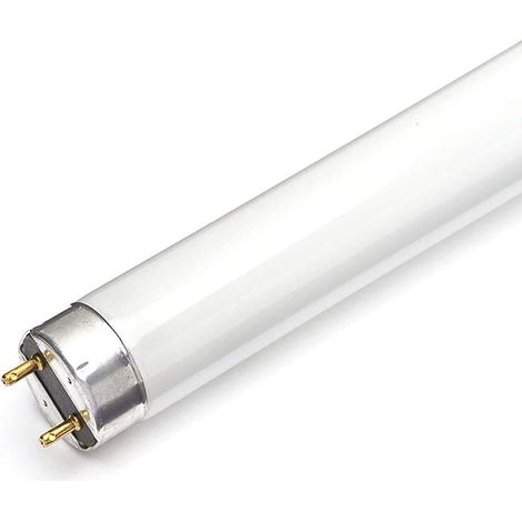 Set Neon Fluorescenti Master Tl-D Eco 32W/865 Slv/25PHI25PZ-3286ECO