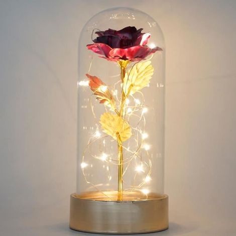 Rose éternelle - La Belle et la Bête - Rouge - Lumières LED - Décoratif - Cadeau Saint Valentin (1/4)