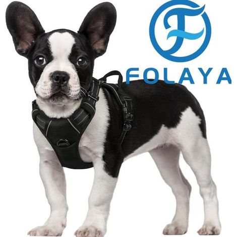 Harnais Chien S Arnais Noir Anti Traction Réfléchissant Gilet Réglable pour Petit Chien, Attache Devant Crochet de Laisse pour Rando (1/4)