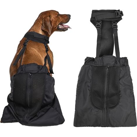 Sac de récupération pour animaux paralysés (1/5)