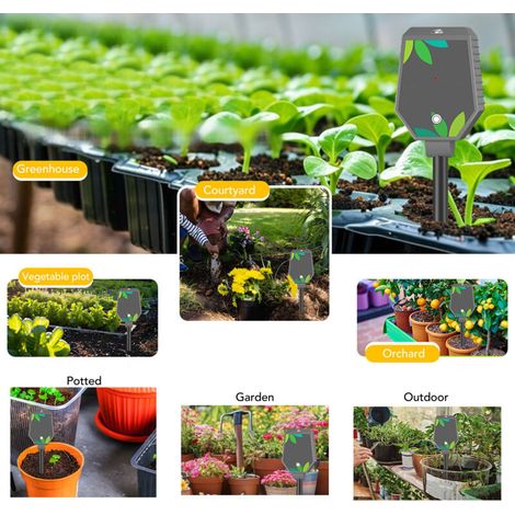 Testeur de Sol Professionnel 8 en 1 avec Connexion Bluetooth et App - Mesure PH, EC, Température - Jardin, Pelouse, Plantes en Pot - 295 mm - Kit Complet avec Accessoires (1/4)