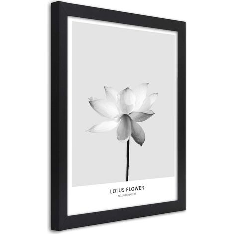 Quadro con cornice, Fiore di loto bianco - 40x60 (1/5)