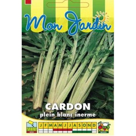 Cardon 'Plein Blanc inerme' le sachet de 120 graines (5g) (1/2)