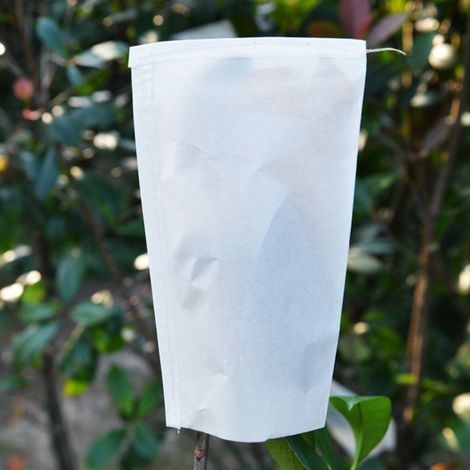Pergamentbeutel zur Aufbewahrung von Gemüsesamen für den Hausgarten (50 Stück, 30 x 17 cm) (1/5)