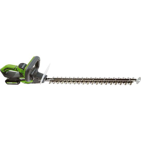 Tagliasiepe a batteria da giardino batteria litio 20v 2ah verdemax ts20 (1/4)