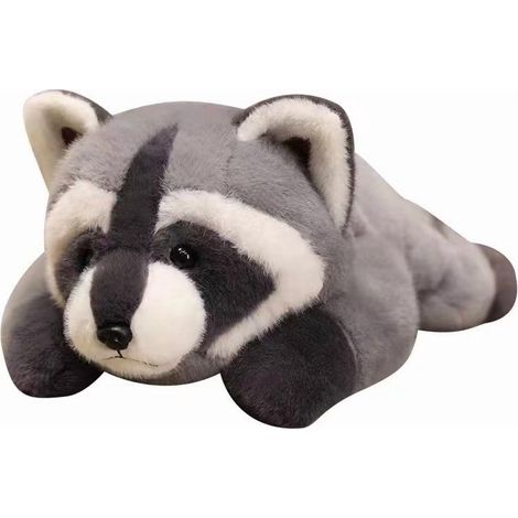 Coussin Peluche Raton Laveur À Longs Bras - 65 Cm - Pour Enfants Et Adultes (1/5)