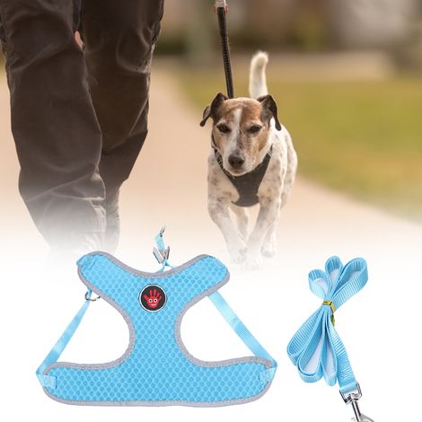 Harnais de poitrine pour animaux de compagnie en maille respirante polyester, style gilet, avec laisse de traction pour chiens et chats (Bleu S) (1/5)