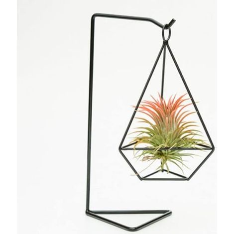 Support de Plante - Support pour Pot de Fleurs - Triangle en Métal Noir - Décoration de Table Intérieure - 1 Pièce (1/4)