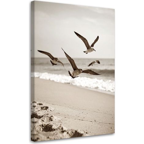 Tableau déco Mouettes oiseaux mer plage nature 40x60 (1/4)