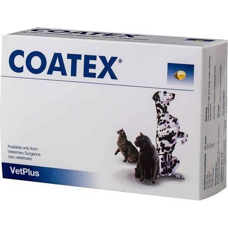 Coatex Blister 240 Capsule