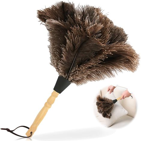 Plumeau d'autruche 34 cm Plumeau avec Manche en Bois pour Chambre Salon Bibliothèque (1/5)