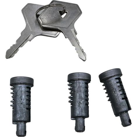 Lot de 3 cylindres de serrure avec 2 clés pour portes R4, R6, R12, R15 et R17, références: 7700514510, 7700547887, 7700553344 (1/5)