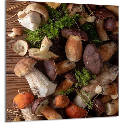 Panneau de verre POUR la cuisine 60x65 Champignons (1/5)