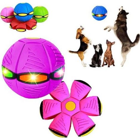 The Doggy Disc Ball, avec lumières, jouet pour animaux de compagnie, jouet interactif pour chiens de petite taille (rose, 6 (1/5)