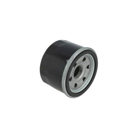 Jwn Filtre à huile pour tracteur 751-12690 compatible avec moteurs verticaux Lawnflite Cub Cadet MTD 4HP 420CC 751-11501 951-12690, blanc/noir (1/2)