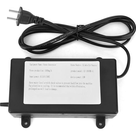 Générateur d'ozone portable 1000 mg, ozoniseur, purificateur et stérilisateur d'air, prise américaine 110 V (1/5)