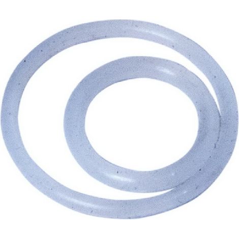 Anillo Torico compatible con Zlg20  Ref 56616