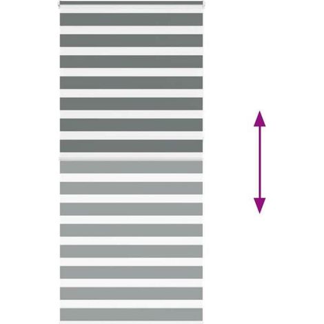 Store Zébré - Polyester 100 % - Gris Foncé - Largeur Tissu 100,9 cm - Hauteur 230 cm - Pour Fenêtre - 1 Pièce (1/5)