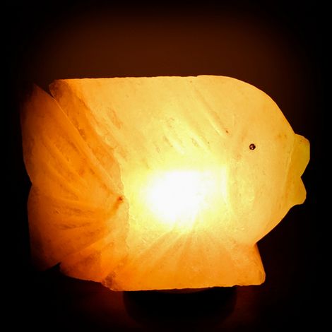Lampada di Sale Himalayano Rosa naturale a forma di Pesce 3-4Kg