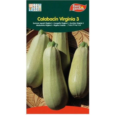 semillas fito horticolas calabacin virginia 3 00029 (caja 10 unidades)