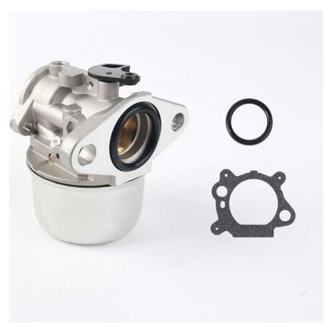Kit De Remplacement De Carburateur De Moteur Compatible avec Brigg et Stratton 497586 498170 799868 498254 497314 497347 698444 (1/5)