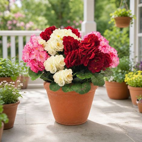 6 Fleurs Géranium Soie Extérieur UV Résistant (1/5)