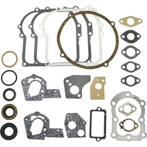 Serie guarnizioni Vecchi 3/3,5 HP orizzontali 80200, 82200 -320032