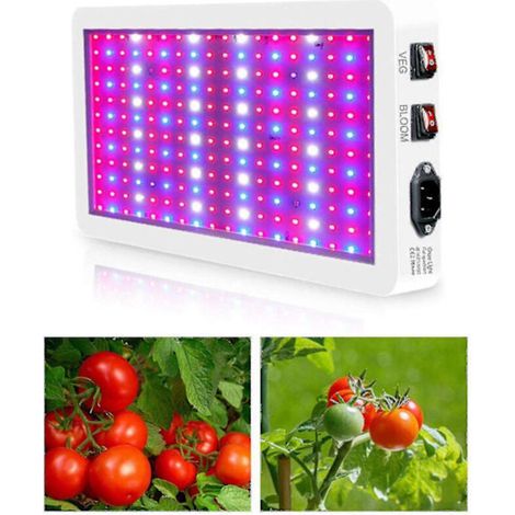Lampe de culture LED 1000 W à spectre complet – Double canal VEG & BLOOM – Installation facile – Pour hydroponie et serres – Andiamo