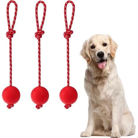 3 Stück Elastische Hundespielzeug Ball mit Seil, Naturkautschuk Wurfball Hund, Langlebig, Weich und Elastisch, Haustier Ball Spielzeug mit Seil, für Haustiere Hunde Ausbildung Spielen Übung (1/5)