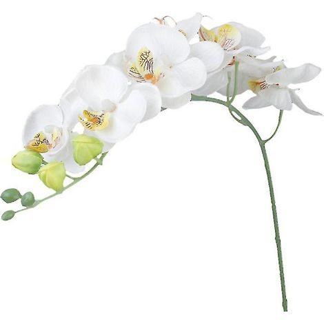 1 Orchidee für die Hochzeit